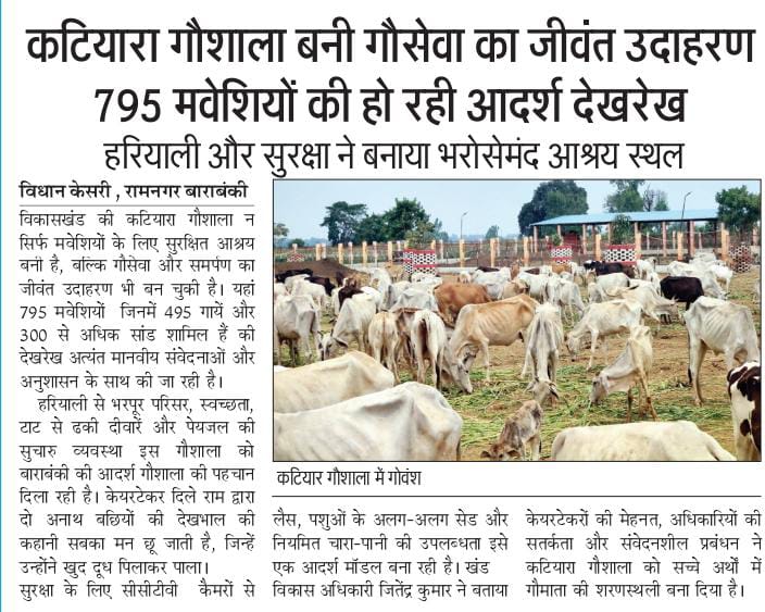 press_release